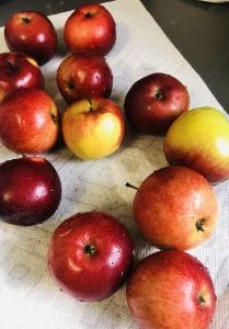 Apples for Keto Low-Carb Apple Butter