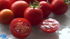 KETO LOW-CARB FRESH TOMATO SOUP