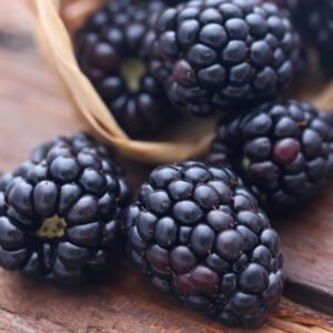 Blackberries for Paleo Cream Cheese Tart
