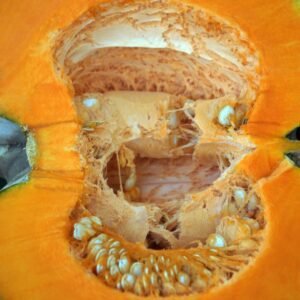 4-minute microwave pumpkin-cake