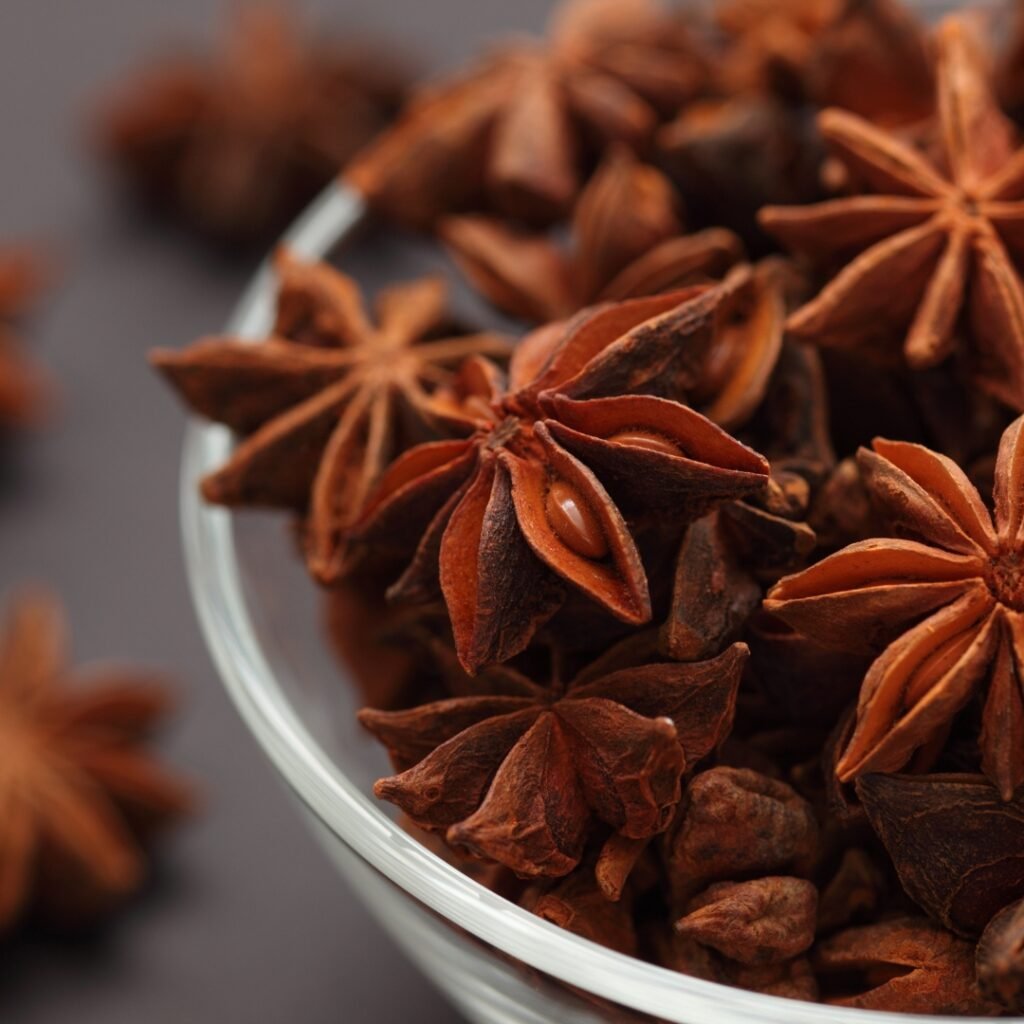Star Anise for Keto Chinese 5 Spice