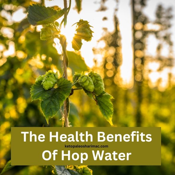 health benefits of hop water